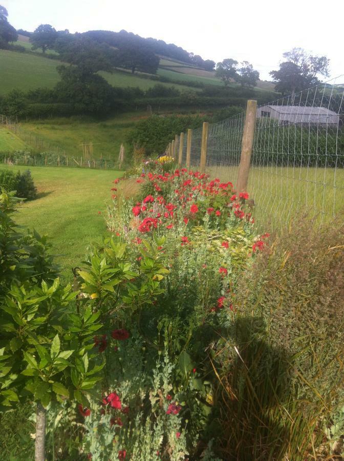 East Dunster Deer Farm B&B Tiverton  Exterior foto